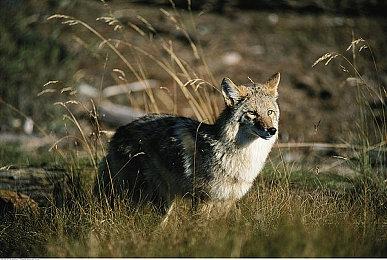 复古风格恐怖探索游戏《魔王的迷宫》现已在Steam平台推出试玩Demo