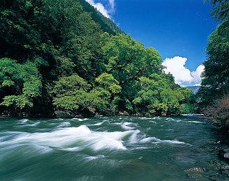 《原神》预告5.0版本前瞻特别节目 8月16日播出