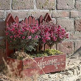 手游《怪物猎人Now》宣布联动《怪物猎人：荒野》